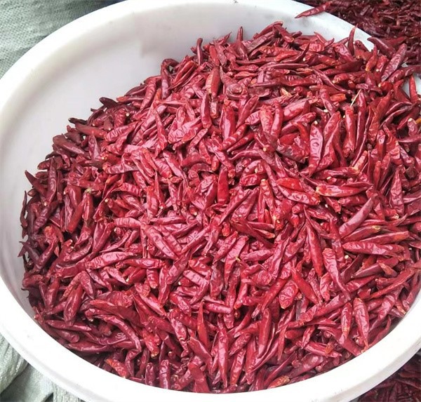 product-600-573 product-600-573